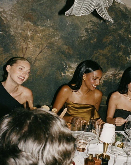 Portrait — a dinner among the House